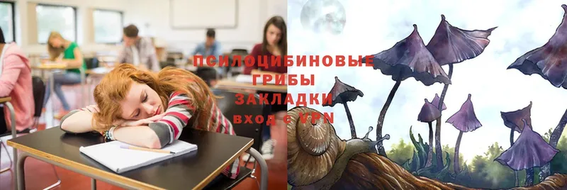 Галлюциногенные грибы мухоморы  Буй 